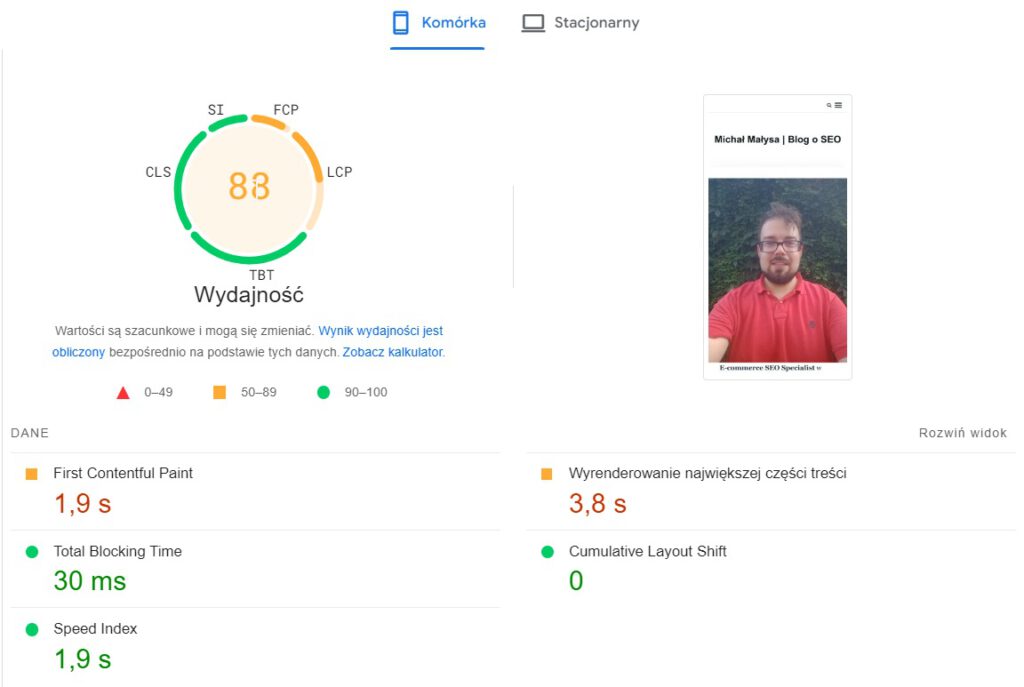 Wyniki w PageSpeed Insights