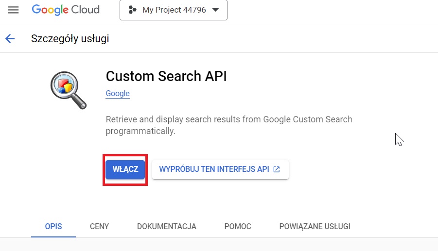 Włączanie Custom Search API